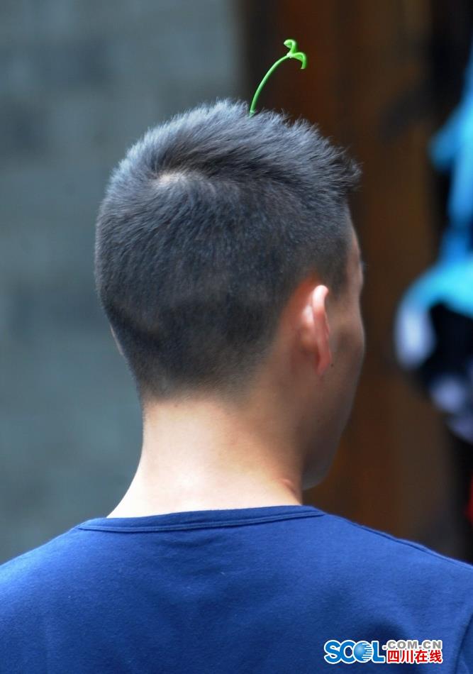Look！Bean sprouts flowers grow on head