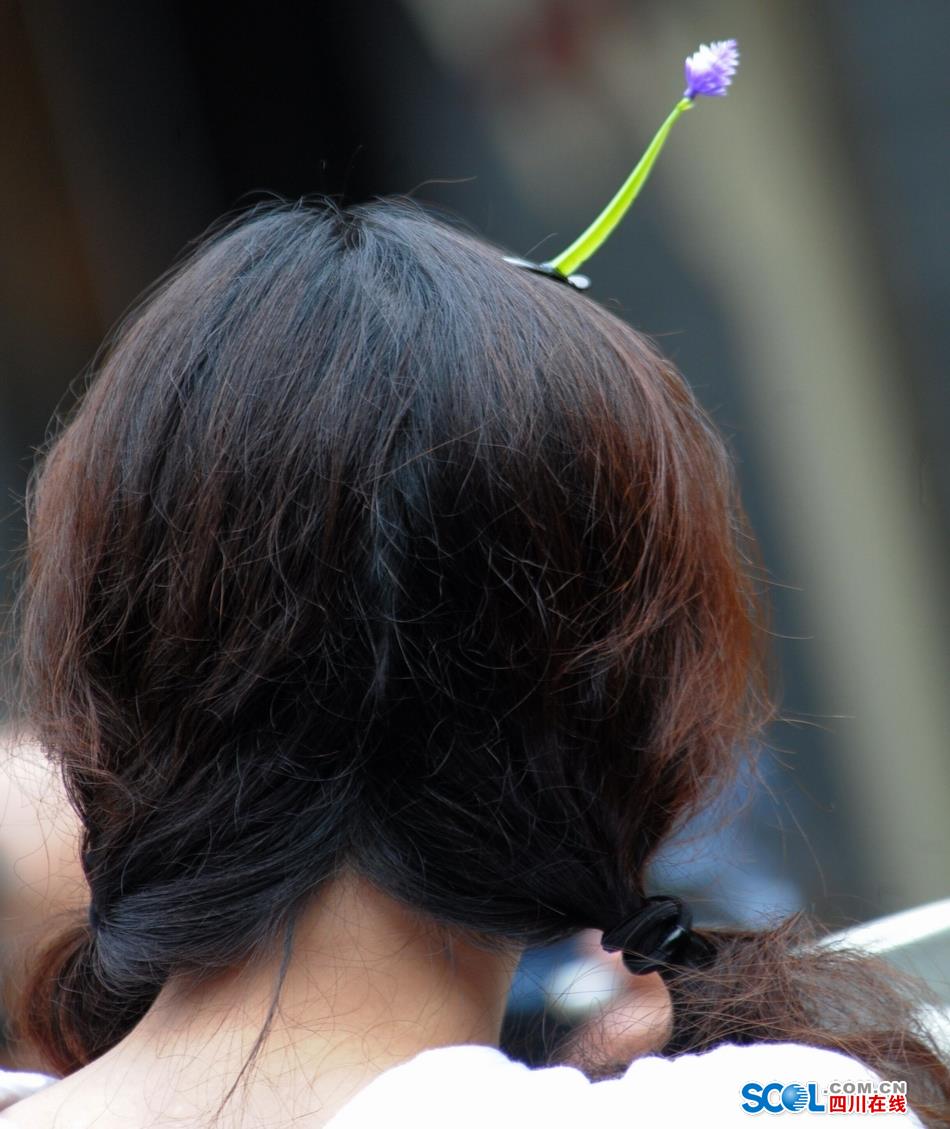 Look！Bean sprouts flowers grow on head