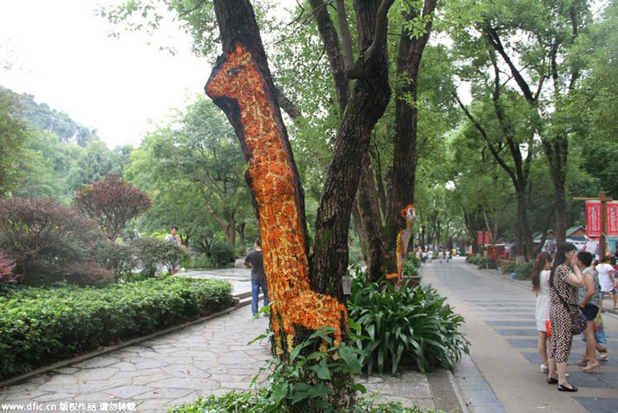 Animals illustration appear on tree trunks in Guilin City Park
