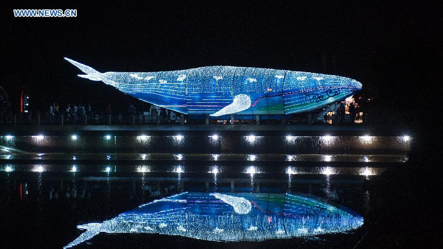 Wajia Lantern Festival attract visitors in China's Yunnan