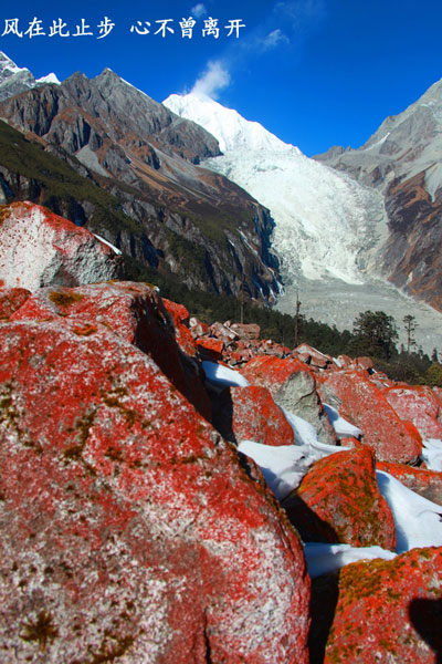 Walking in picturesque Conch Gully in autumn