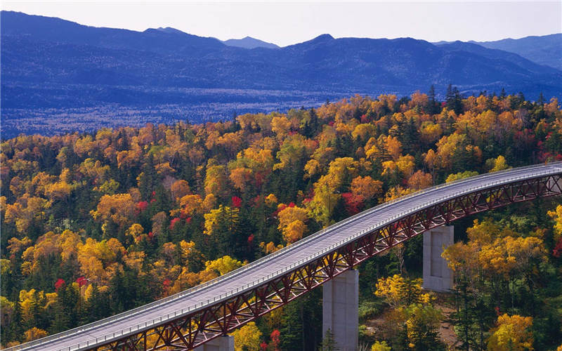 Bright-colored autumns around the world