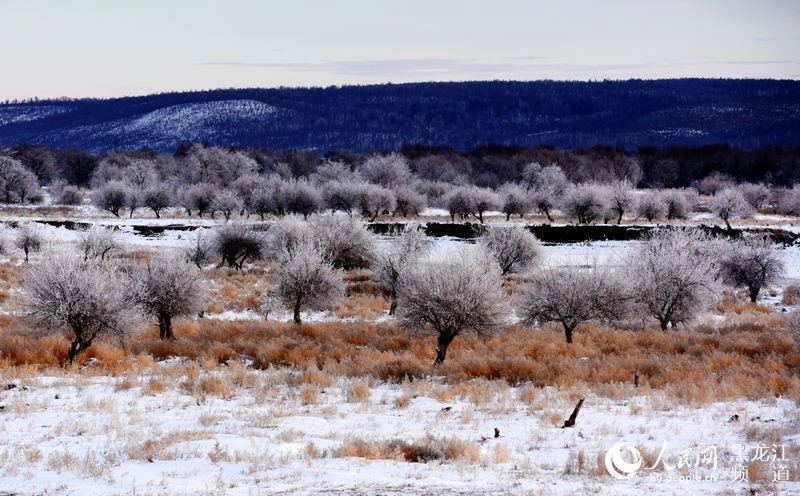 Rime scenery along the Heilongjiang River