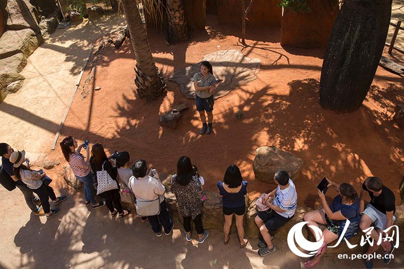 An Encounter With Aussie Wildlife In The Wild Life Sydney Zoo