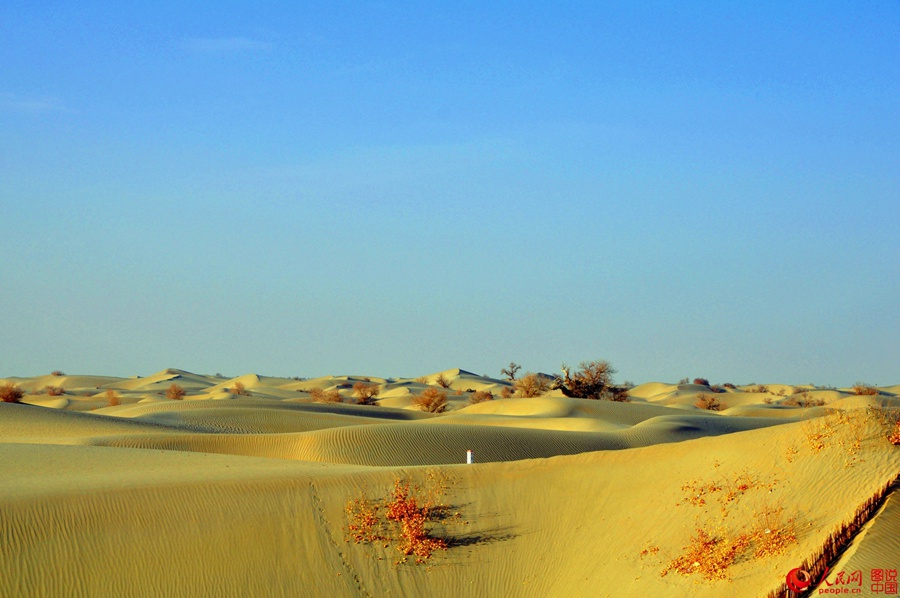 Breathtaking scenery alongside Hotan desert highway