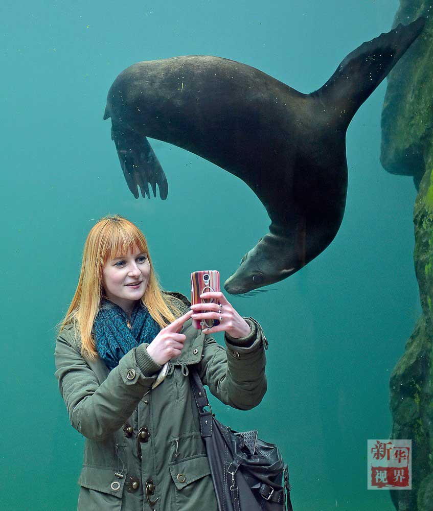 18 most amazing selfies ever taken