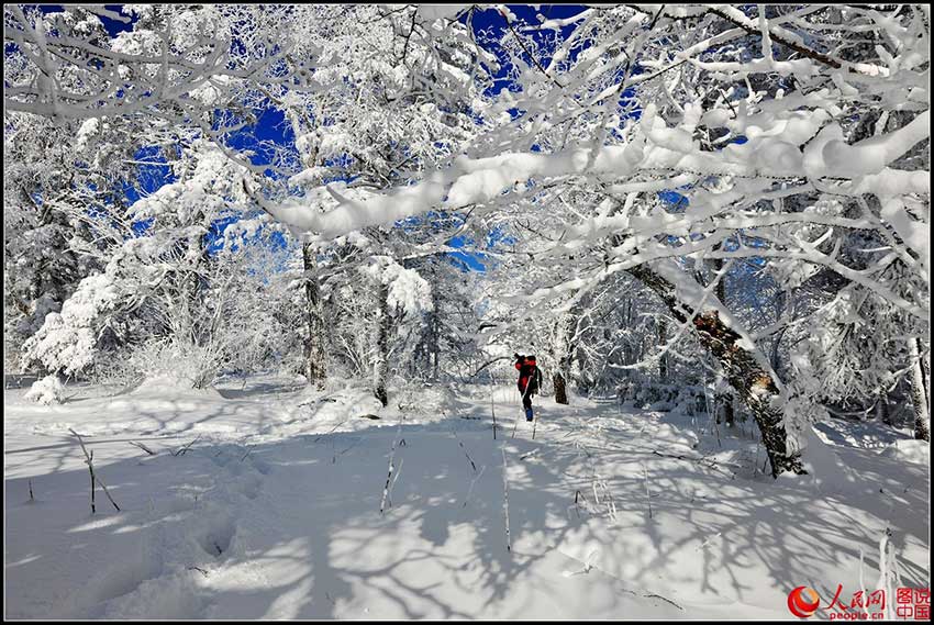 Beautiful rime sceneries across China