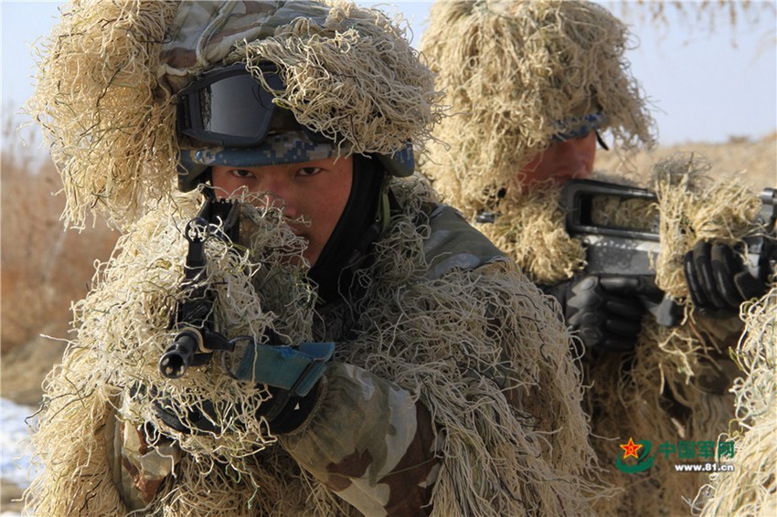 China's Marine Corps conducts collaborative drill in NW China