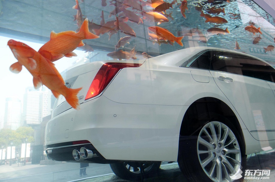 Luxury car in fish tank displayed in Shanghai