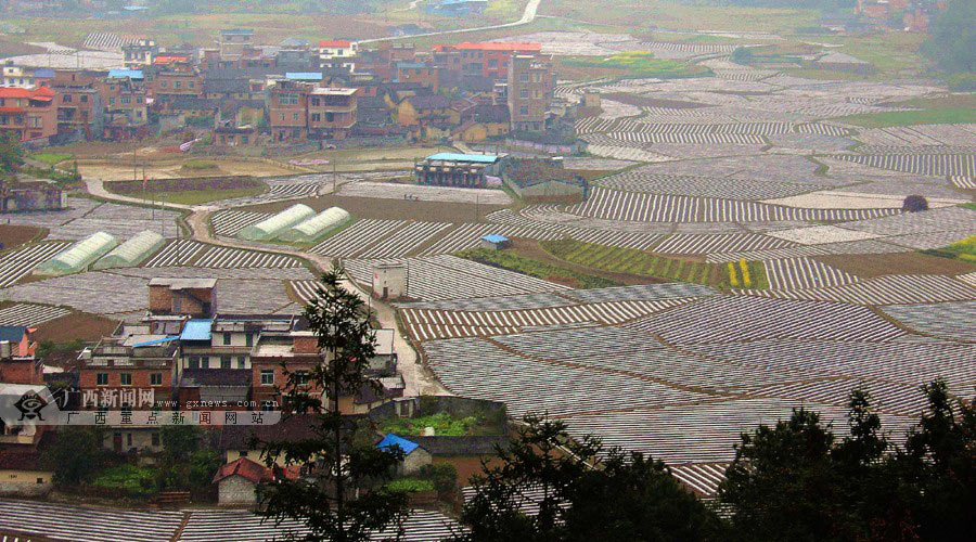 In pics: matrix of farmland in plowing, sowing season, SW China