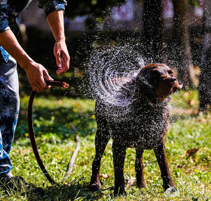 Hi, Buddy! Thank you for your love
