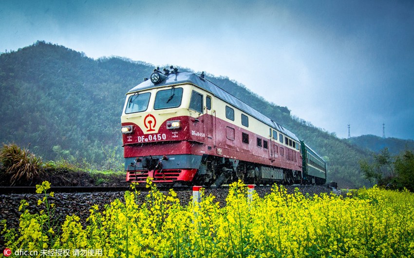 Train rides through blossoms