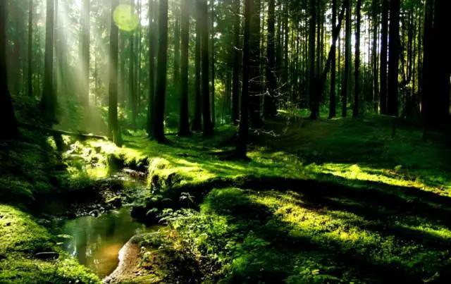 The most beautiful forest trails in East China's Zhejiang