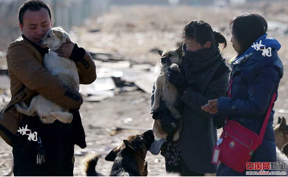 Man rescues over 5,000 abandoned dogs in three years