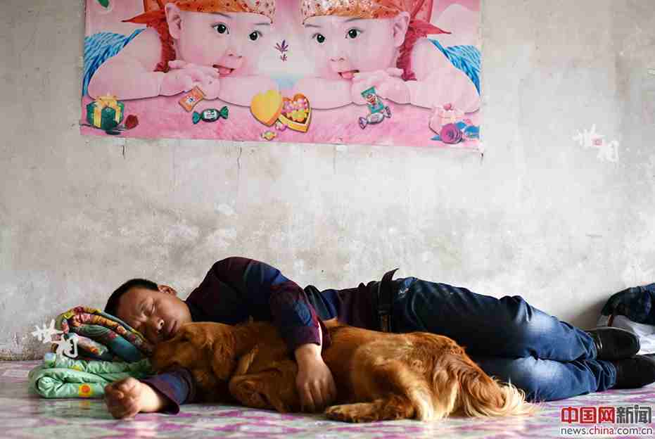 Man rescues over 5,000 abandoned dogs in three years