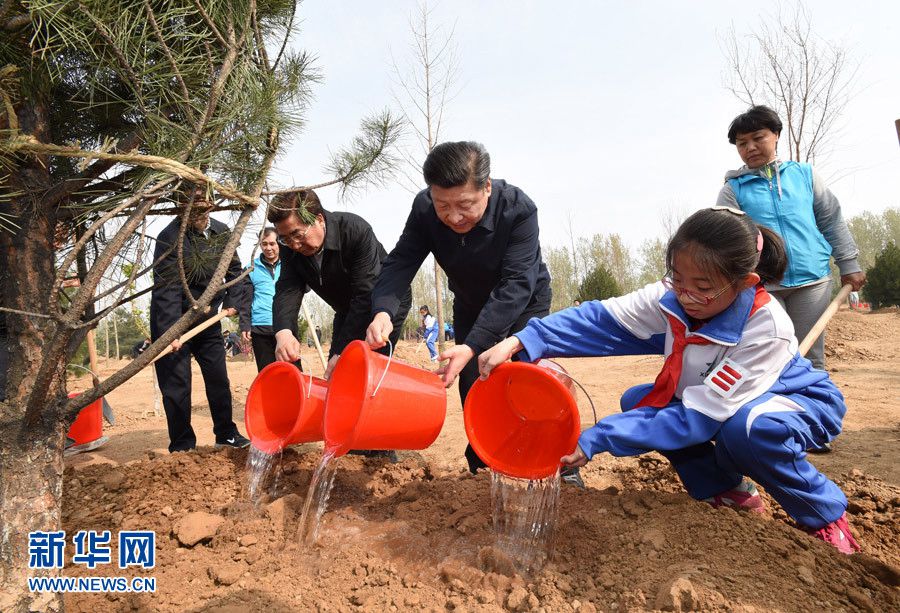 President Xi plants trees, urges forestry development
