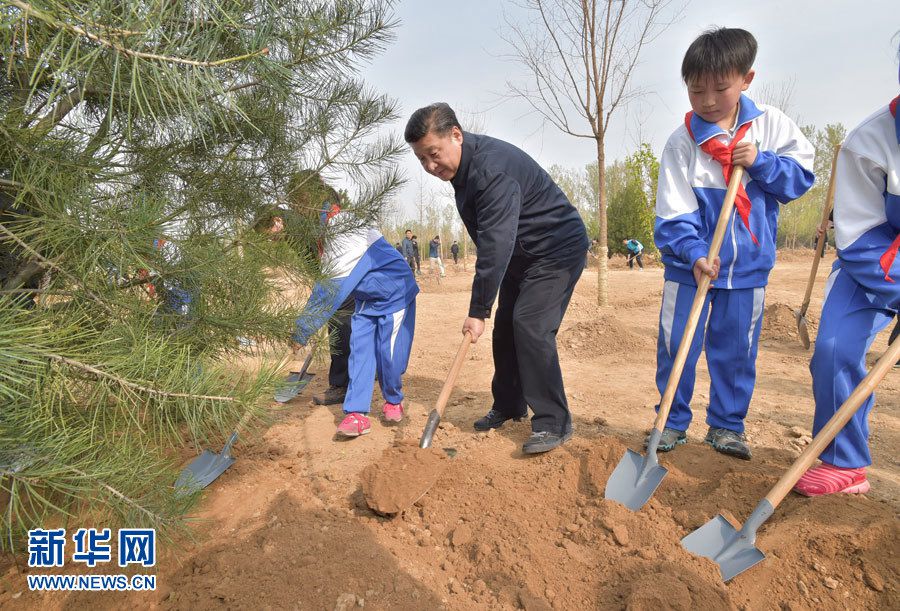 President Xi plants trees, urges forestry development