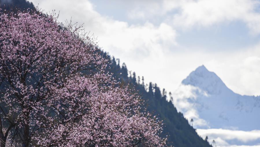 A wonderland in Tibet