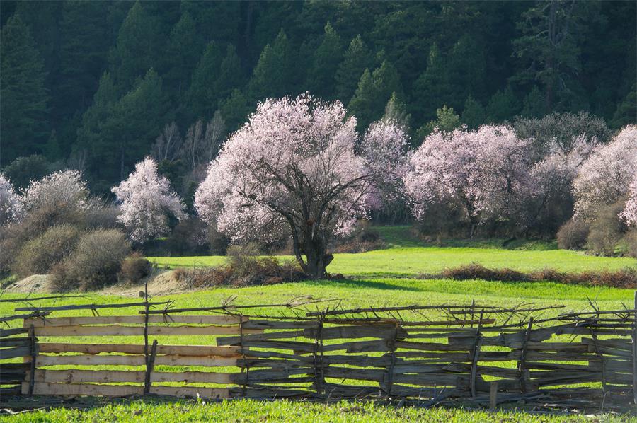 A wonderland in Tibet