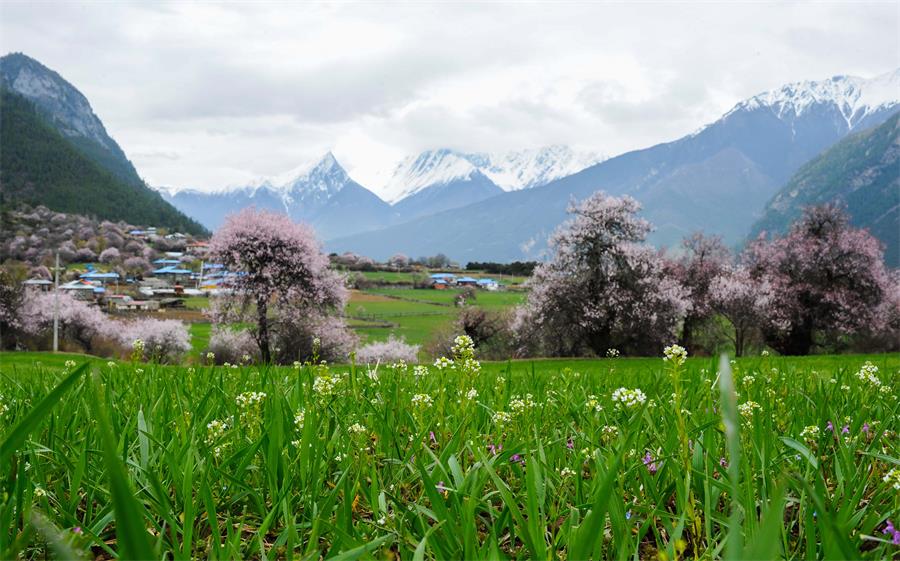 A wonderland in Tibet