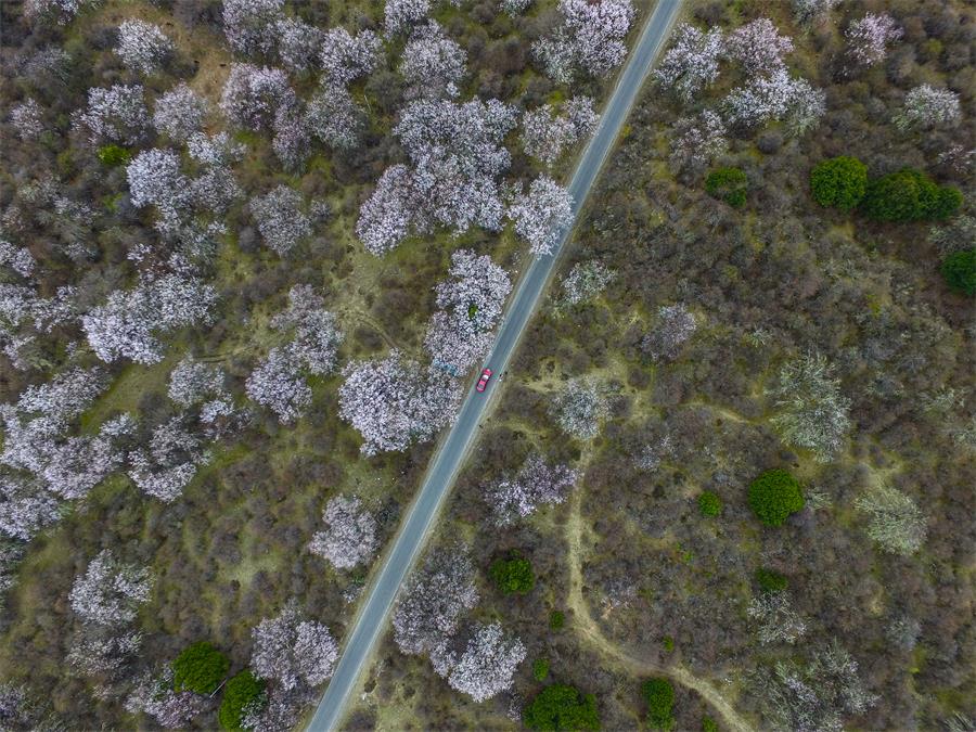 A wonderland in Tibet