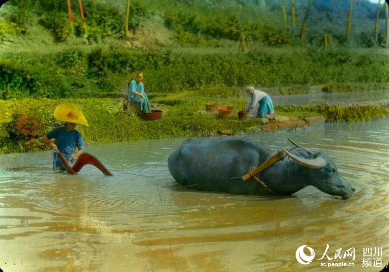 Old photos record the change of Sichuan over a century
