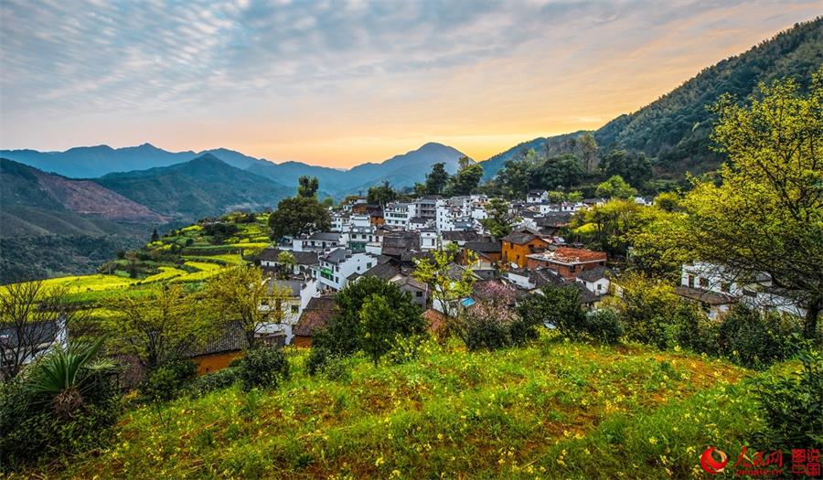 Flowers in full bloom in ancient village in Jiangxi 