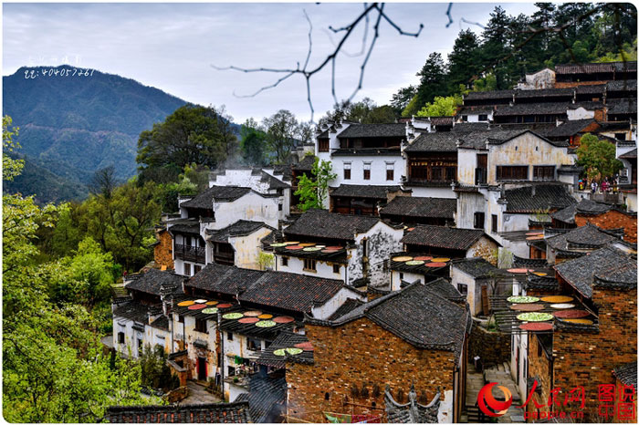 Scenery of rape blossoms in terraced fields in Jiangxi
