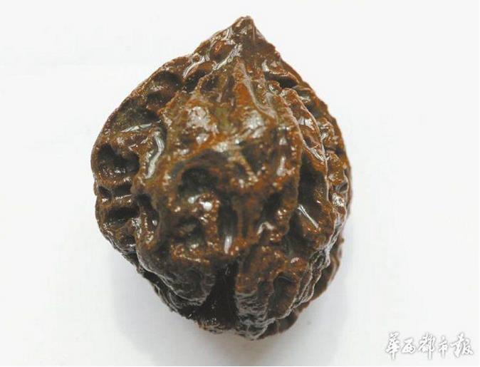 4,000-year-old ruins being excavated in Sichuan province