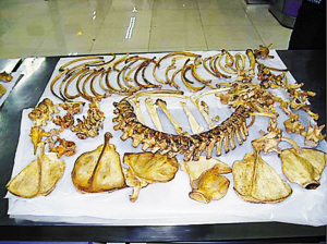 Top legislators debate over whether or not nation should allow the use of dead tiger bodies