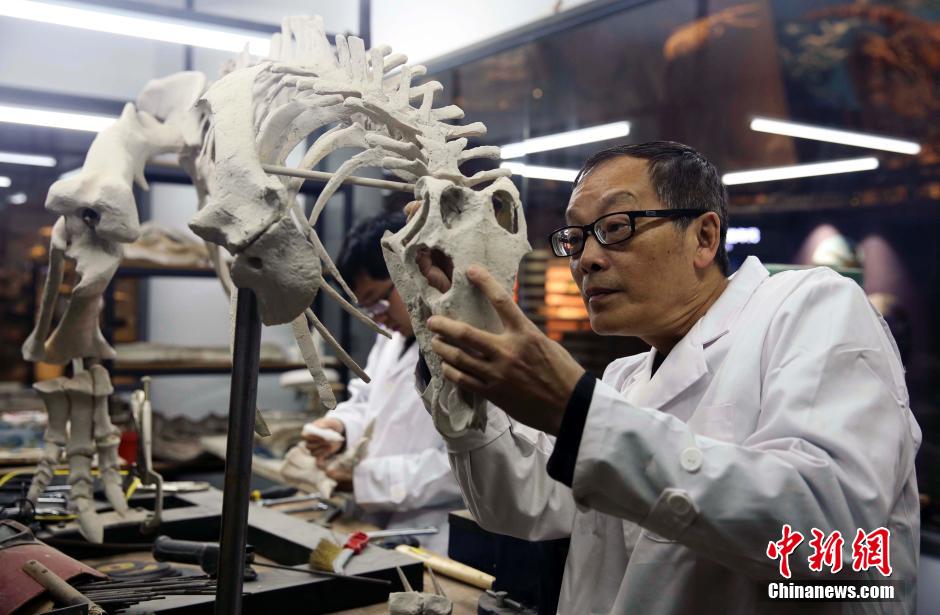 'Beauticians'of dinosaur fossils