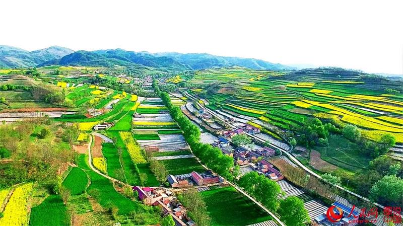Aerial view of terraced fields in Gansu province