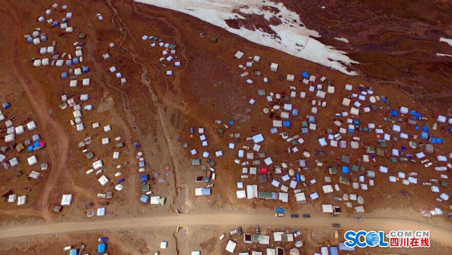 Cordyceps diggers camp out on Chinese plateau