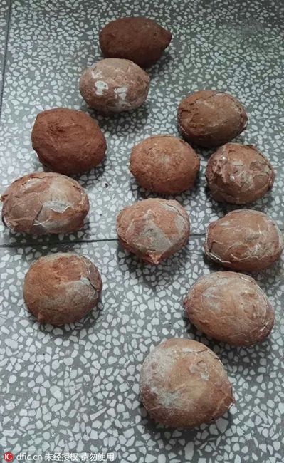 Dinosaur eggs dug out in E China