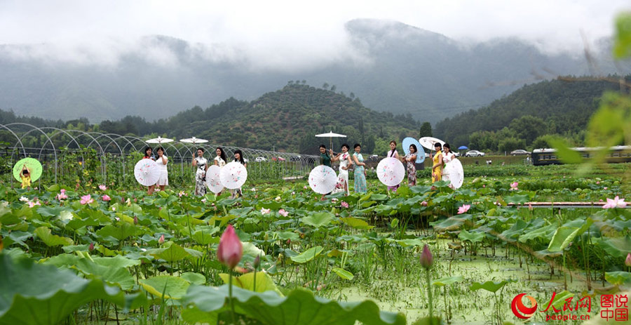 Cheongsam show held in lotus park in Zhejiang