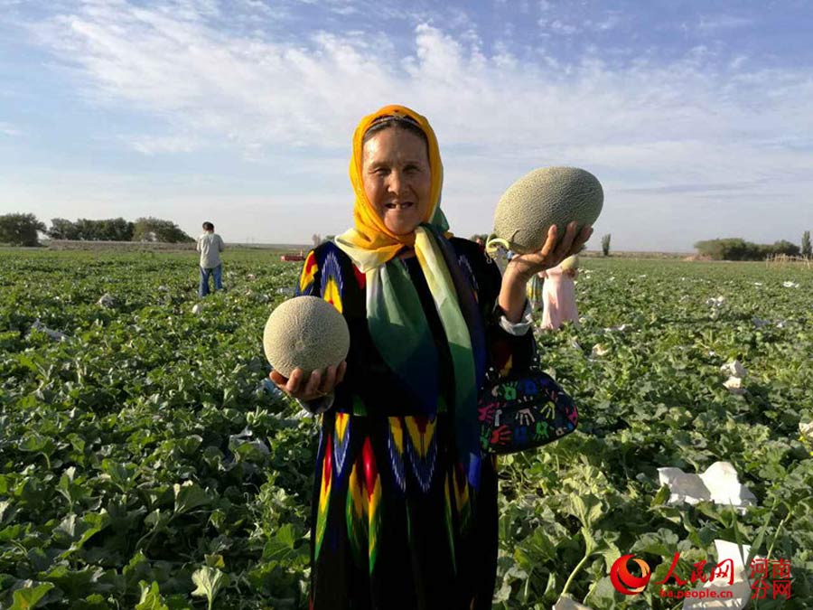 Special delivery! Hami melon straight from Xinjiang