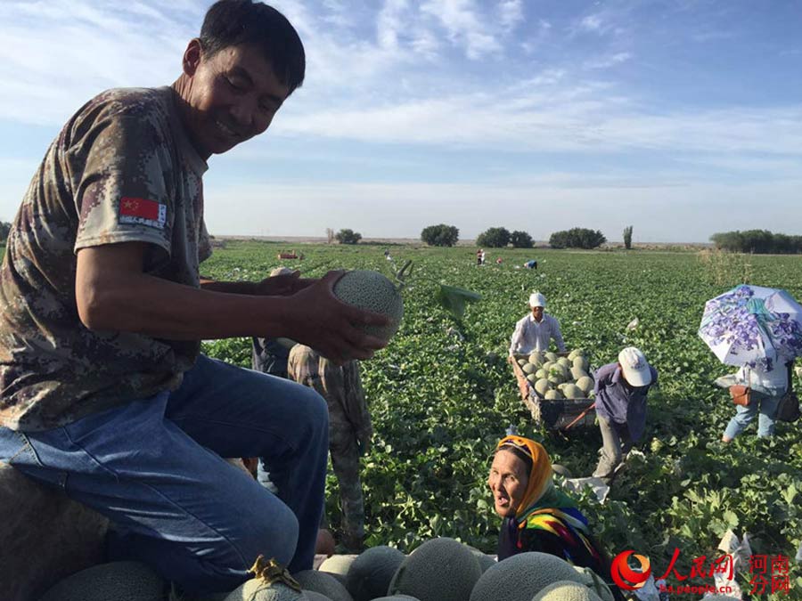 Special delivery! Hami melon straight from Xinjiang