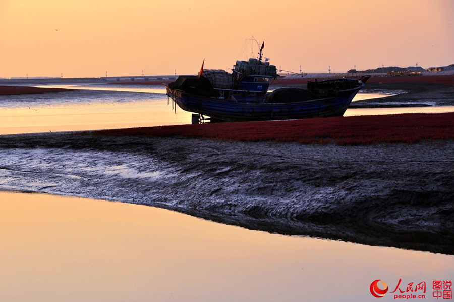 Unique red beach in Liaoning