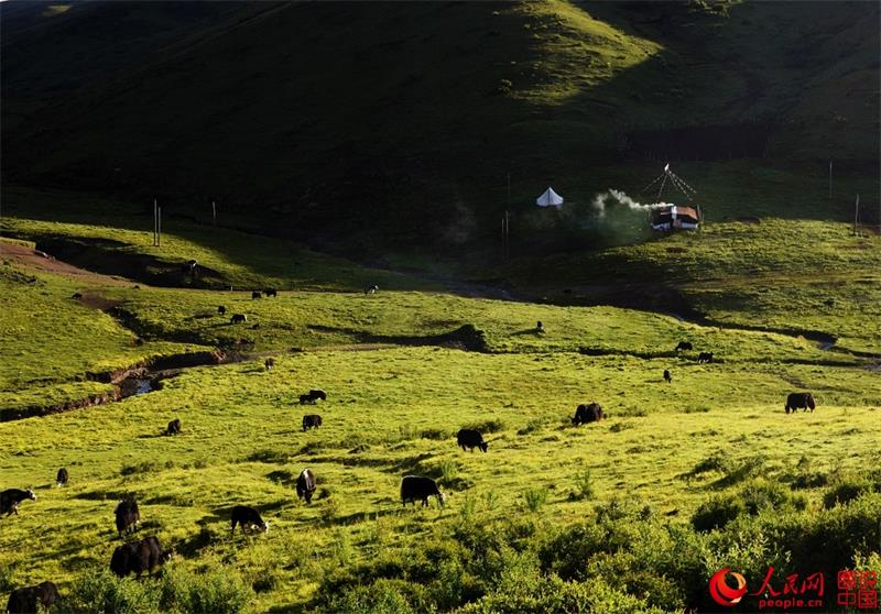 Summer scenes from Aba County