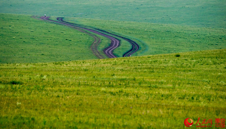 Breathtaking scenery of Hulun Buir grassland