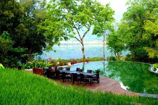 Rice Field Swimming Pool Hotel