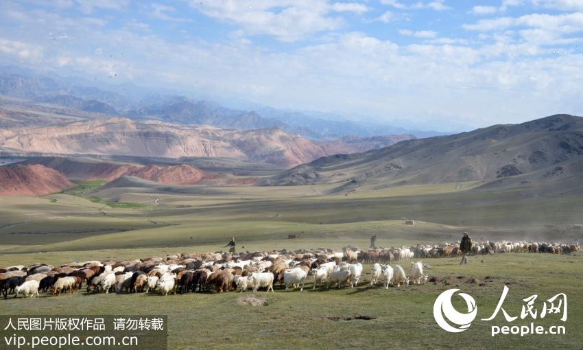 Kyrgyz herdsmen move livestock in preparation for change of season