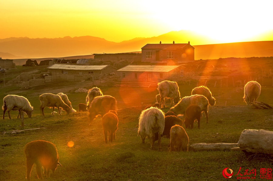 Intoxicating early autumn scenery in northern China