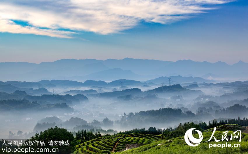 Chongqing, shrouded in mist