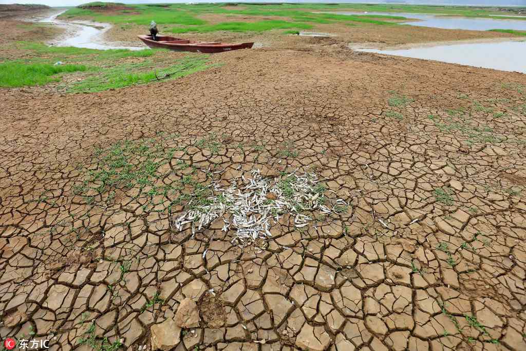 1,000-year-old stone island emerges in Poyang Lake after water level decreases