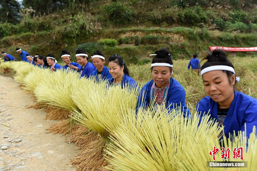 Dong ethnic minority women celebrate harvest in Guangxi 