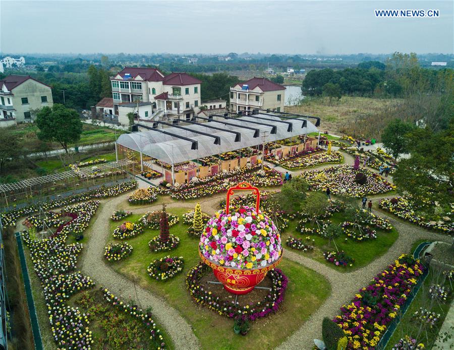 CHINA-ZHEJIANG-CHRYSANTHEMUM EXHIBITION(CN) 
