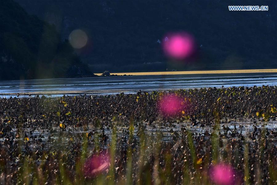 CHINA-YUNNAN-PUZHEHEI WETLAND PARK (CN)