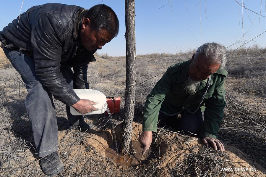 CHINA-GANSU-BATTLE AGAINST DESERTIFICATION (CN)