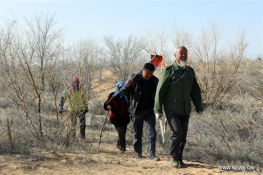 CHINA-GANSU-BATTLE AGAINST DESERTIFICATION (CN)